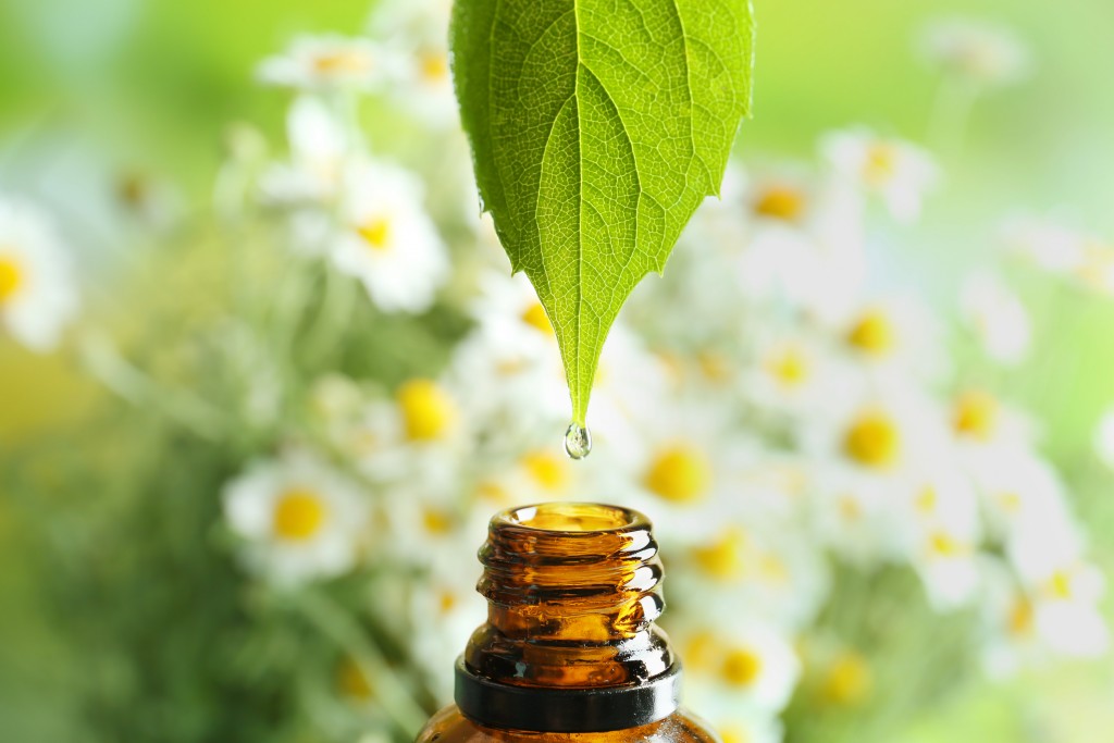 homeopathy, leaf extract